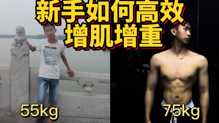 新手 瘦子如何高效的增肌增重？让你瘦猴变猛男！