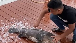 杀鱼就自己杀，吃就一堆人吃！生气丢了