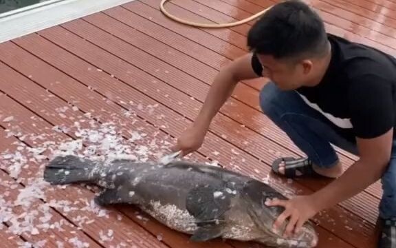 杀鱼就自己杀，吃就一堆人吃！生气丢了