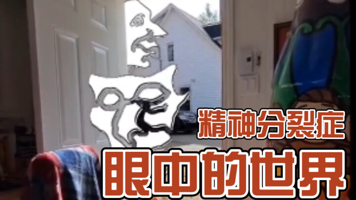 The World Through the Eyes of Schizophrenia