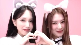 两位日本学姐！Sana+名井南 拍立得互动cha！