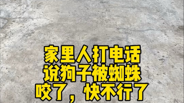 Apa yang harus dilakukan, keluarga?