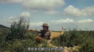 狗狗忠心护主，最后主人却拿枪对准了它