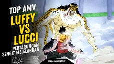 SIAPA YANG MENANG? | LUFFY VS LUCCI [ TOP AMV ]✅