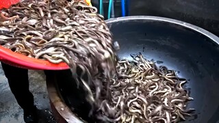 [Korean Food] Korean Food Chueotang (Mudfish Stew)