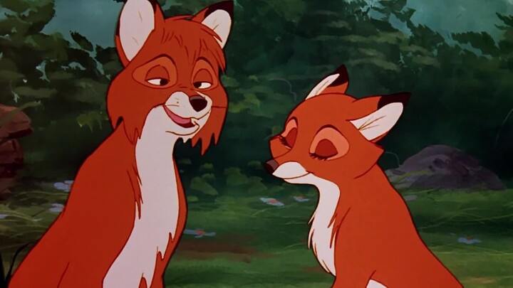 The love between two foxes, they fell in love at first sight when they met for the first time, but w