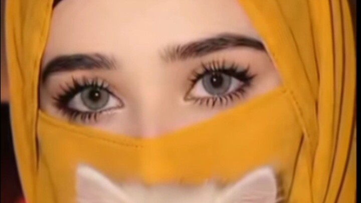 #please follow me #mera 🐈 Cat kisa hi #follow karey #for you video