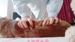 Dạy bạn cách làm bánh mì trong một phút!