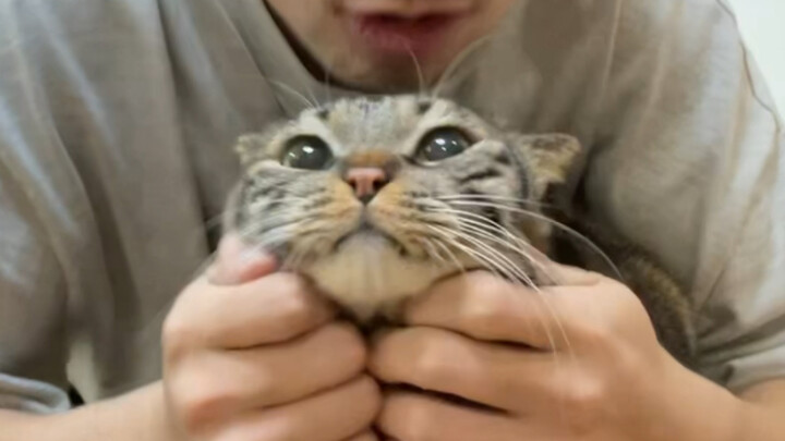 Here you go—just a simple kiss from a kitty!