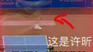 许昕真的是太全面了