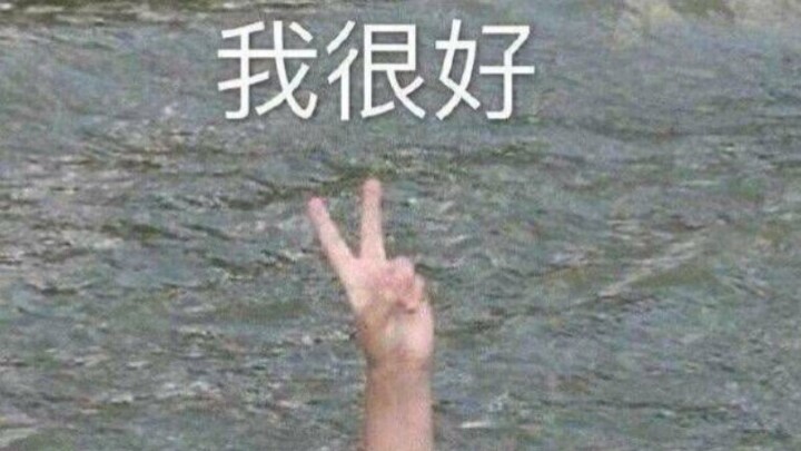 Con chó độc thân thì đừng vào nhé, ngoan nào (´･･)ﾉ(._.`)