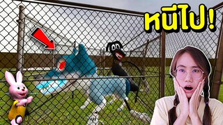 หนีไป !! ถ้าเจอ แก๊งหมาดำสุดหลอน ในเขาวงกต | Mind&Nat