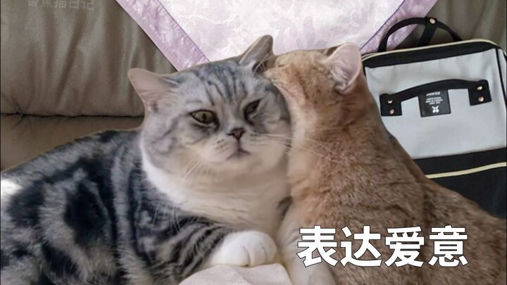 Bạn gái tinh nghịch thì đáng yêu đến mức nào~