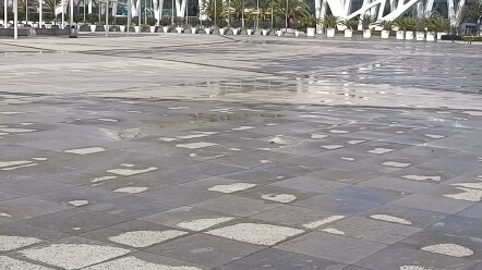 นี่เป็นเรื่องราวที่น่าเศร้า...