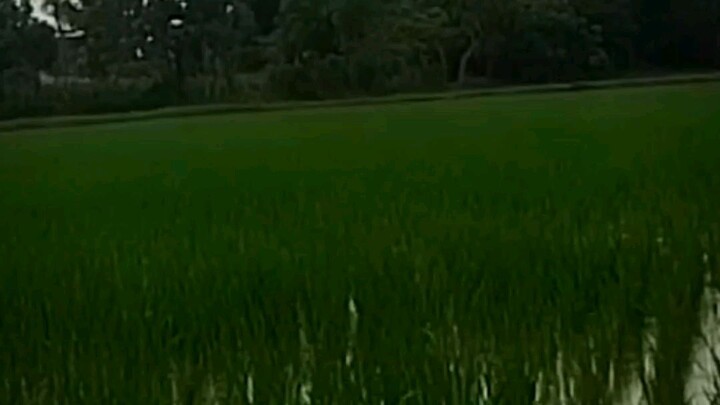 jangan lupa hiling bro