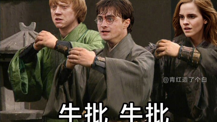 【哈利波特/沙雕】这个哈利波特不圆润，盘他！！！