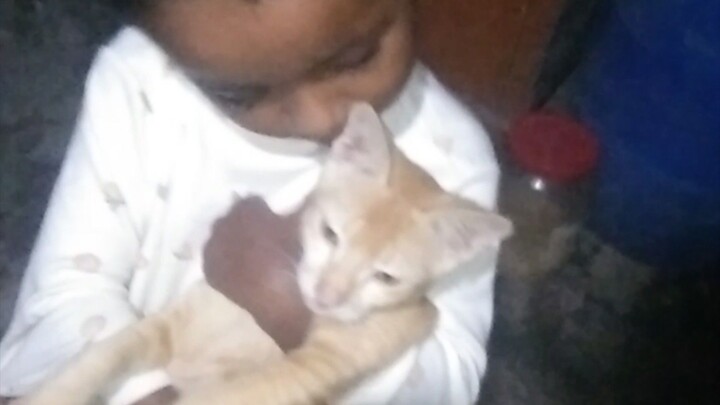 The child is playing with the cat.