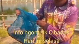 mancing hari ini