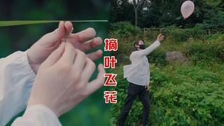 I was doing an outdoor demonstration of picking leaves and flying flowers, and I got pricked by a pa