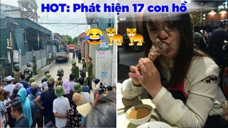 Phát hiện 17 con hổ trong nhà dân 😂 - Top comment hài hước bá đạo nhất trên Face Book.