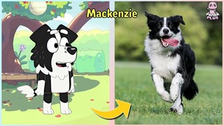 Bluey Characters In Real Life 2022