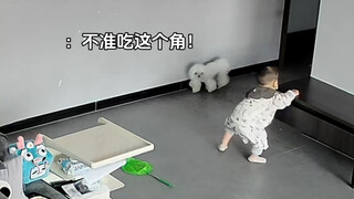 儿子哥：老铁ok了