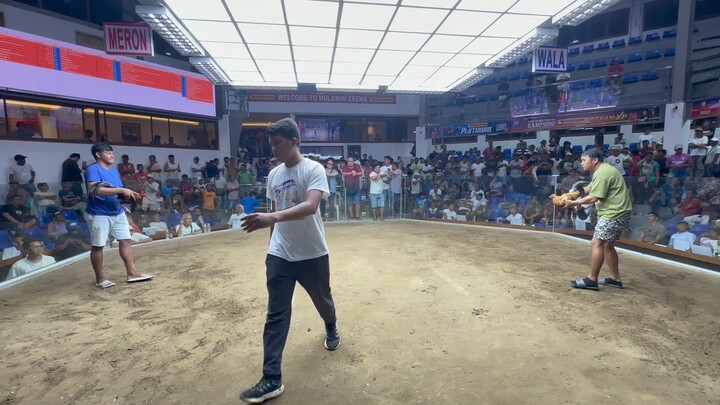 #Esperanza A’s 777 Gamefarm