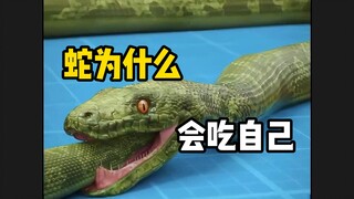 《好无聊，吃吃自己那根》