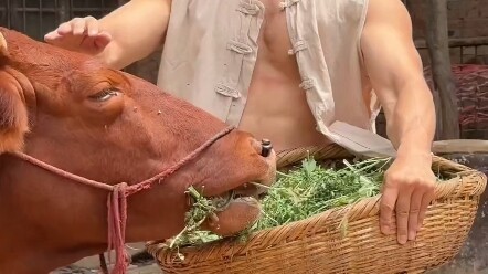 รักกับห้วงอวกาศ แต่เป็นวรรณกรรมชายหยาบ