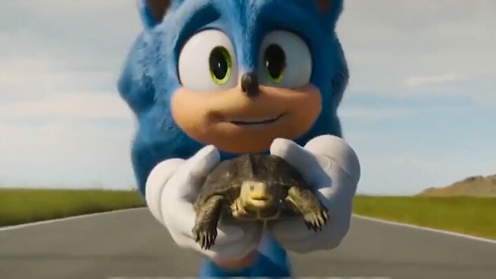 Sonic đưa một con rùa đi trải nghiệm tốc độ 300 dặm một giờ, khiến chân con rùa sợ đến mức run rẩy. 