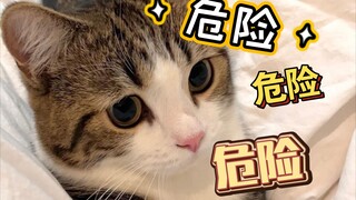 Meow! That expression of yours is pretty dangerous!