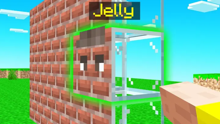 I Caught Jelly Using A CAMO BLOCK In Minecraft Hide & Seek!