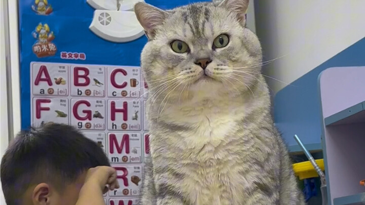 ต้าจ้วงยืนเฝ้าเสา