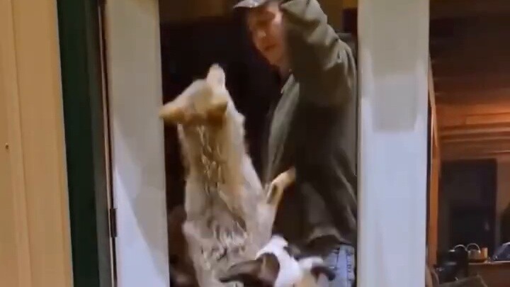 Apa itu gangster sosial?