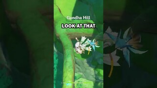 The Best SECRET In Genshin Impact #shorts #genshinimpact