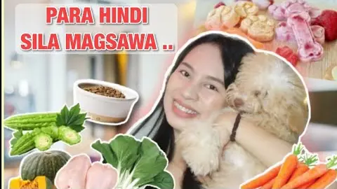 PAANO PAKAININ ANG PICKY EATER NA ASO | HEALTHY PA! | Princess Sarah Pagaduan