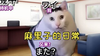 【熟肉】自带台本的客人② | 猫meme