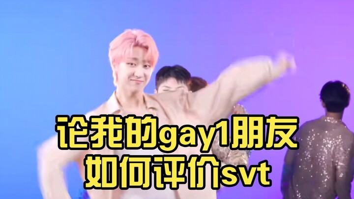 [SEVENTEEN] How My Gay Friend Reviews SVT