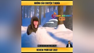 những câu chuyện ý nghĩa tvshowhay mereviewphim reviewphimhay nntreview2 reviewphim