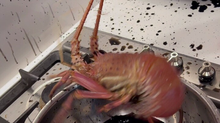 The Live-Marinating Artist Finally Has a Proper Work of Art!