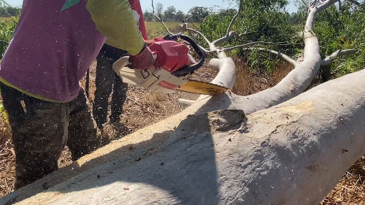 เลื่อยยนต์ Newwave 8800 Super S