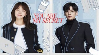 You Are My Secret - Episode 27 (🇨🇳 2024 Chinese Drama)