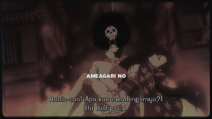 Loyalitas Para Crew Topi Jerami Kepada sang Kapten