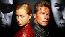 Terminator 3