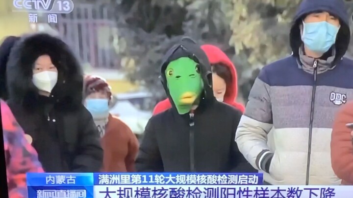 Ikan mas berkepala besar yang muncul di CCTV