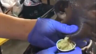 There seems to be a bottle of salad dressing on bro's face