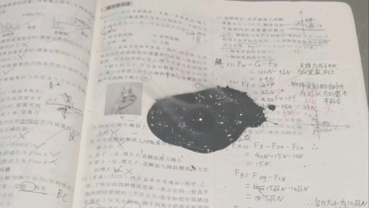 Heating 98% Concentrated Sulfuric Acid, Carbonization, Physics Homework Book