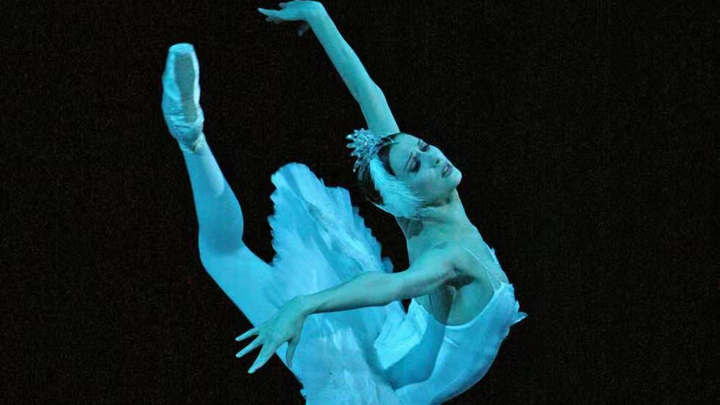 【Ballet|Those heart-throbbing swans flapping their arms】