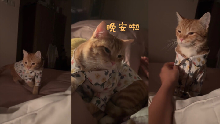 ราตรีสวัสดิ์นะคะ 🥰🥰