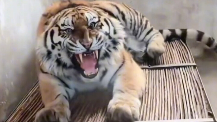 فم كبير يشبه حوض الدم، هذا الشعور اللعين بالضغط!